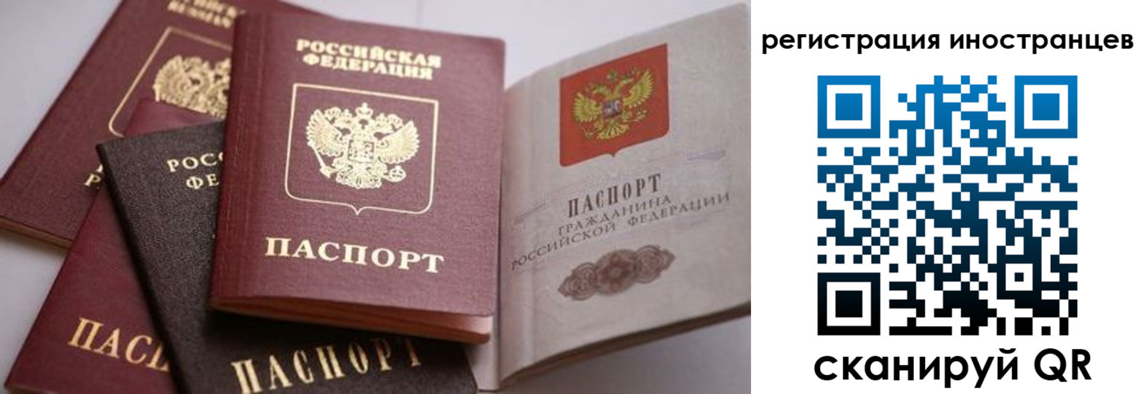 прописка штамп в Михайлове